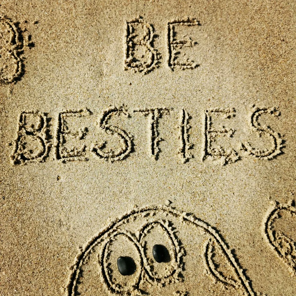 DigiDaughter's tweet photo. Be Besties 💙 #Oleander #SallyMander #girl #salamander #BigWordsSmallStories
@bwsstvo #JudithHenderson #TLMcBeth #hullabaloo #flabberghasted 🇦🇺🇨🇦
💛 #Covid2022 #Lockdown2021 #morale #VitaminSea 🌊 #DuneToons #Lockdown2020 #comics #cartoons ✍️ #SandBanksy #shorelinesally No.1932-3 https://t.co/k5ZyM50o9E