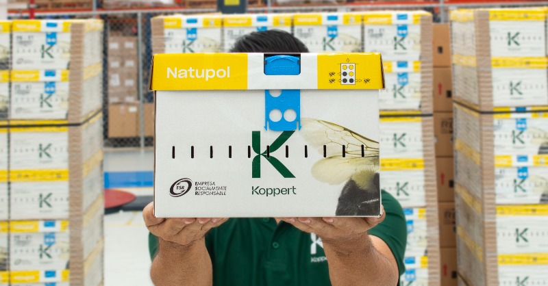 KoppertMX's tweet photo. 🚨📣 ¡¿Estás listo para conocer la nueva colmena Natupol?! 🐝 
A partir del 18 de julio, los clientes de Koppert recibirán en sus pedidos las primeras colmenas con la nueva imagen y el sistema Beevision de Natupol.
#natupol #koppertmx #koppert #beevision #partnerwithnature