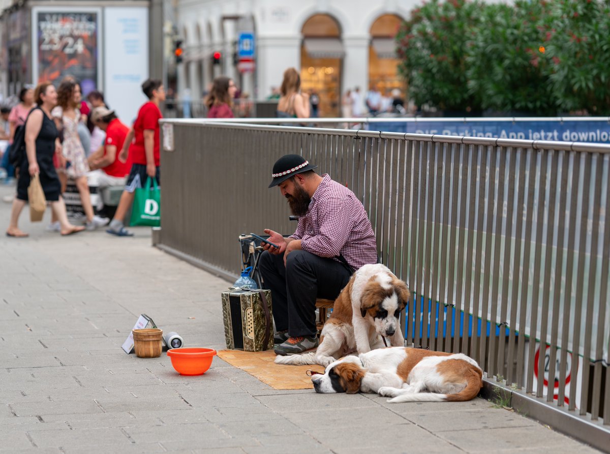 tivadarfarago's tweet photo. Vruć, oblačan, vlažan dan #wien #chbe #vienna #streetphotography #dog #heat #humid #streetmoment #streetcapture https://t.co/HSE3pIRopV