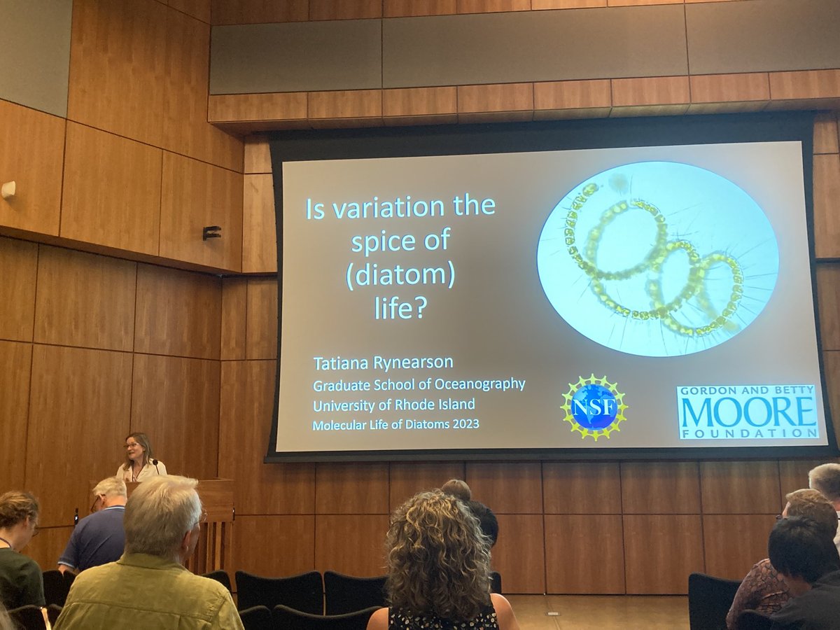 ⁦@RynearsonLab⁩ on the spice of life. #MLD7 ⁦@MLDiatoms⁩ #diatoms #evolution