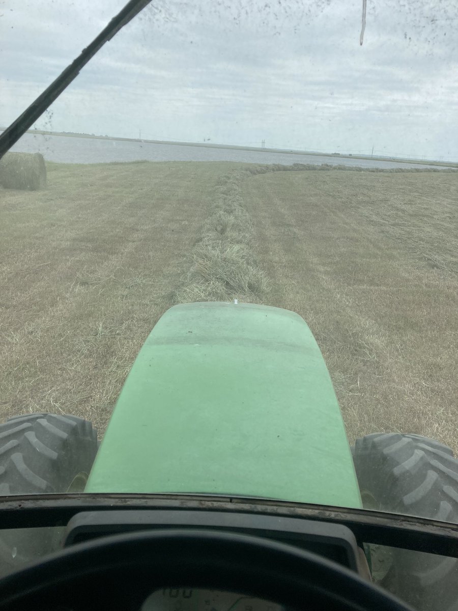 Never fails. Go to the lake and someone calls I have cows out.