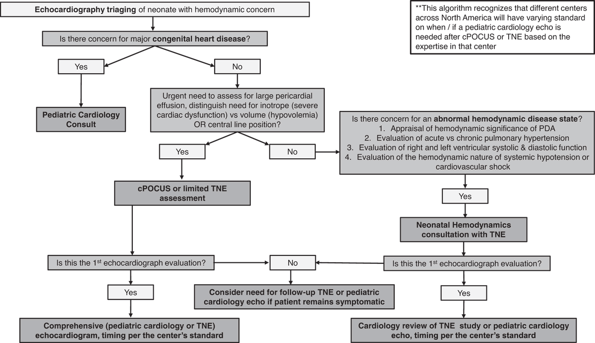 NeoHemodynamics's tweet photo. New editorial in @JPerinatology on the Clarification of boundaries and scope of cardiac POCUS vs. TNE by NHRC members @Dr_AmishJain, Dr. J Lauren Ruoss, Dr. Maria V Fraga, and Dr. Patrick McNamara.
https://t.co/UJDbrFY7bj
#neotwitter #neohemodynamics #NHTSASE https://t.co/NtfuUpVw0B