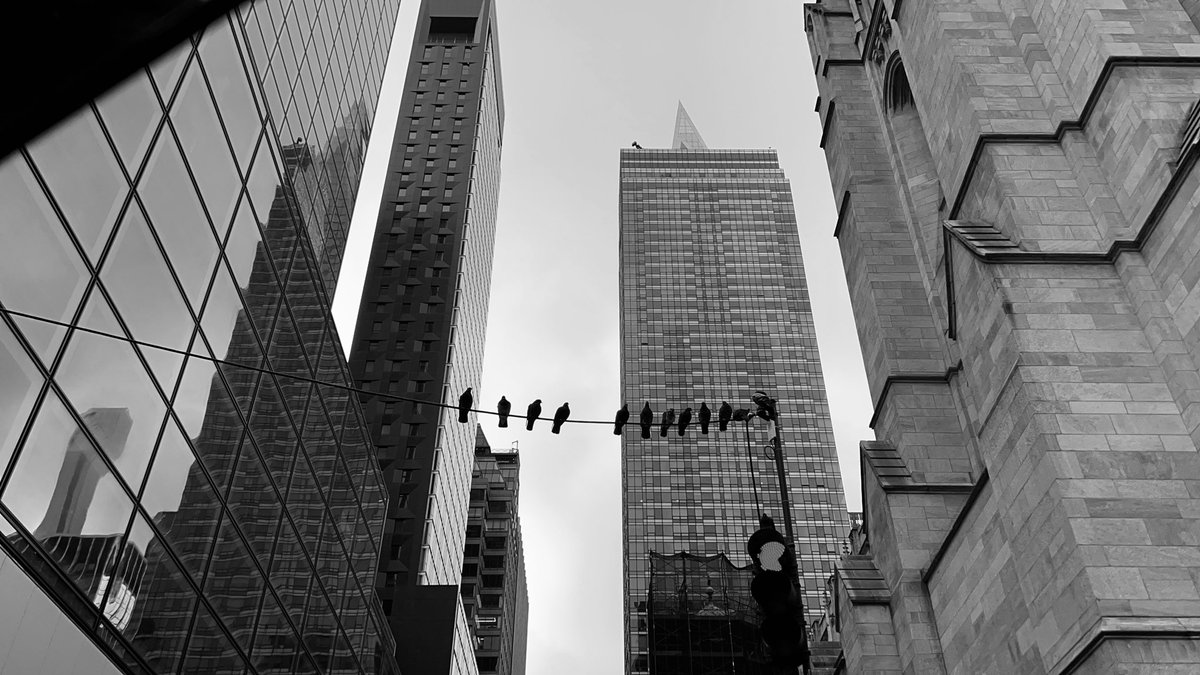 Sara Drust tweet media