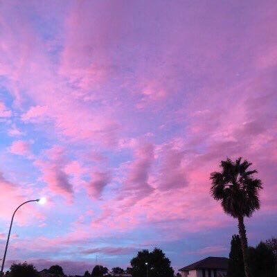 violettweets_'s tweet photo. pink sky. https://t.co/nAfaLg86Yl