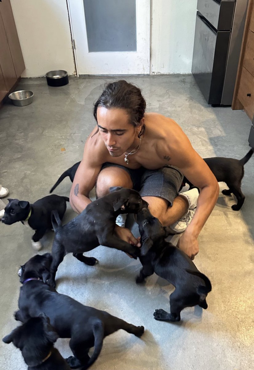 posted on priv but these pups are too cute not to share