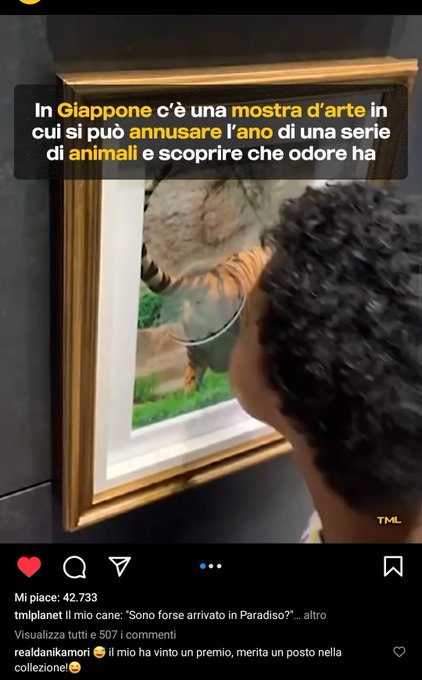 "In Japan there is an art exhibition where you can discover which smell has the anus of a series of animals"