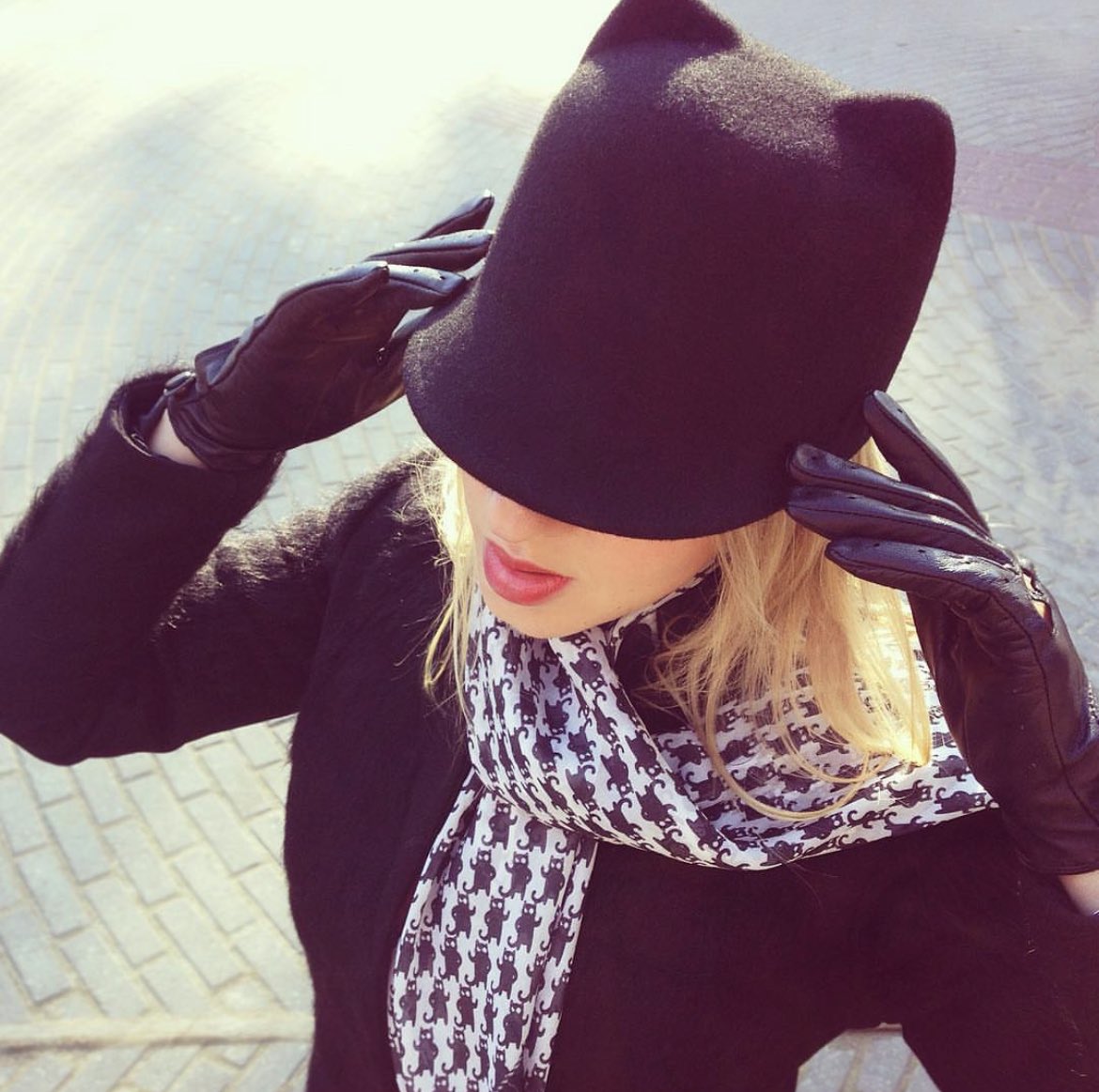 🐈‍⬛🐈‍⬛🐈‍⬛ Black cat has crossed your path! Good luck / bad luck? 👀👀👀 #CrazyCatDamsels