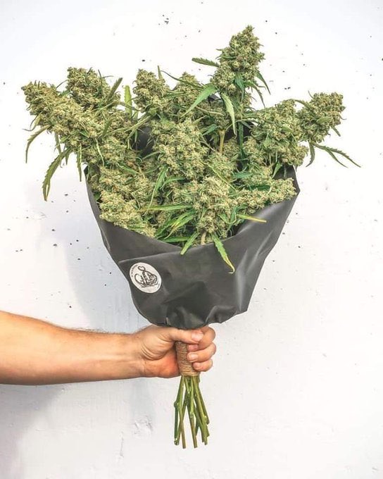 dê flores pra ela de presente