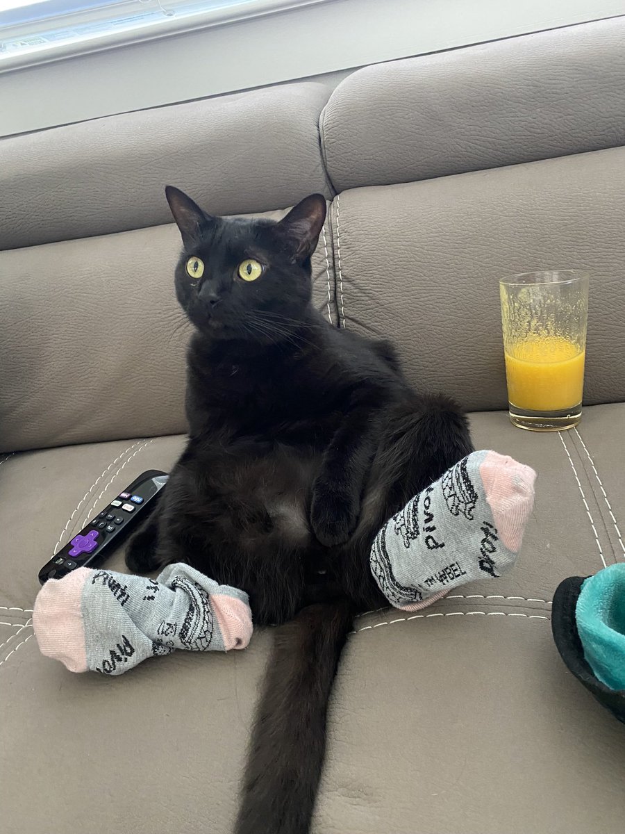 ibh1909's tweet photo. $5 to whoever recognizes the socks lol #CatsOfTwitter https://t.co/Qnyfv5GxDE