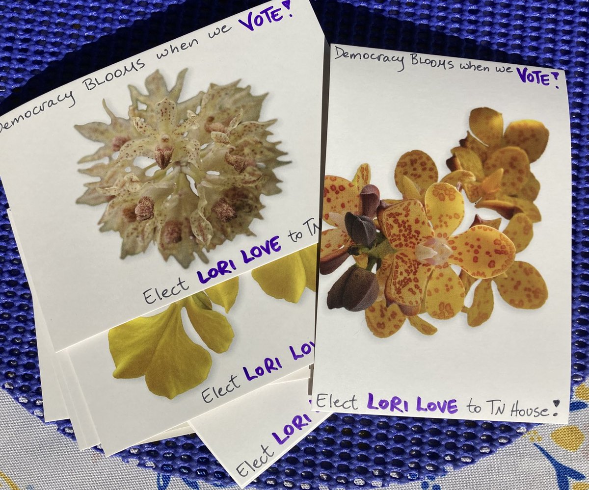 nicolebrca's tweet photo. Took my last 15 cards for Lori Love to the post office today. TN deserves better representation— #Vote4Love #PostcardsToVoters https://t.co/t1QcR3dXB5