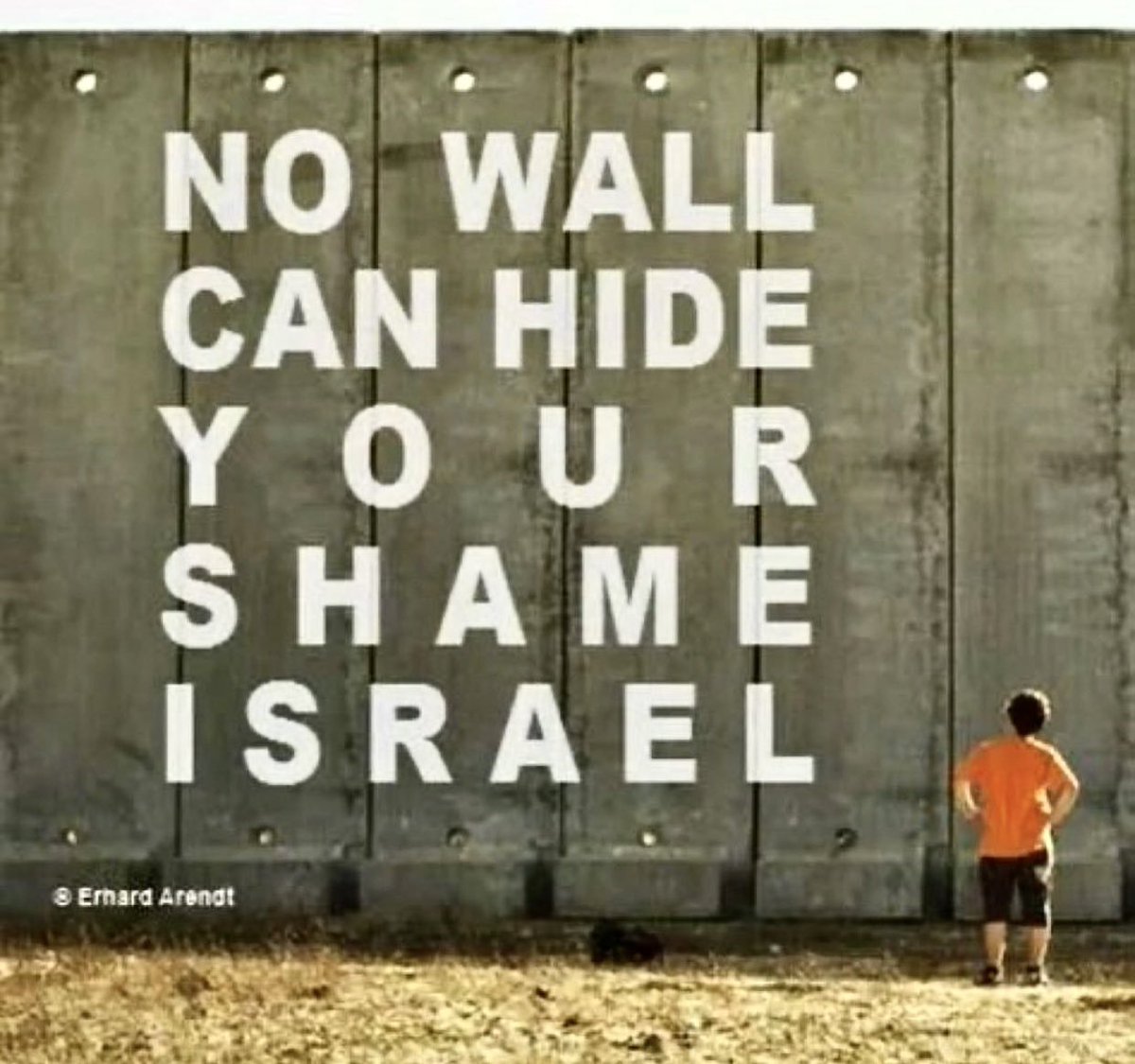 SaraReyi's tweet photo. NO WALL CAN HIDE YOUR SHAME https://t.co/uGQraI70iz