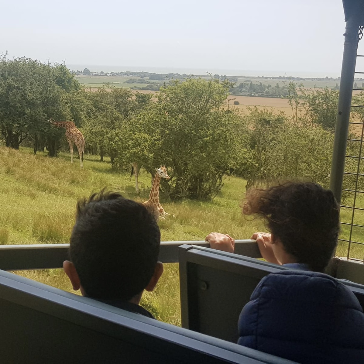 Marvels Lane Primary School tweet media