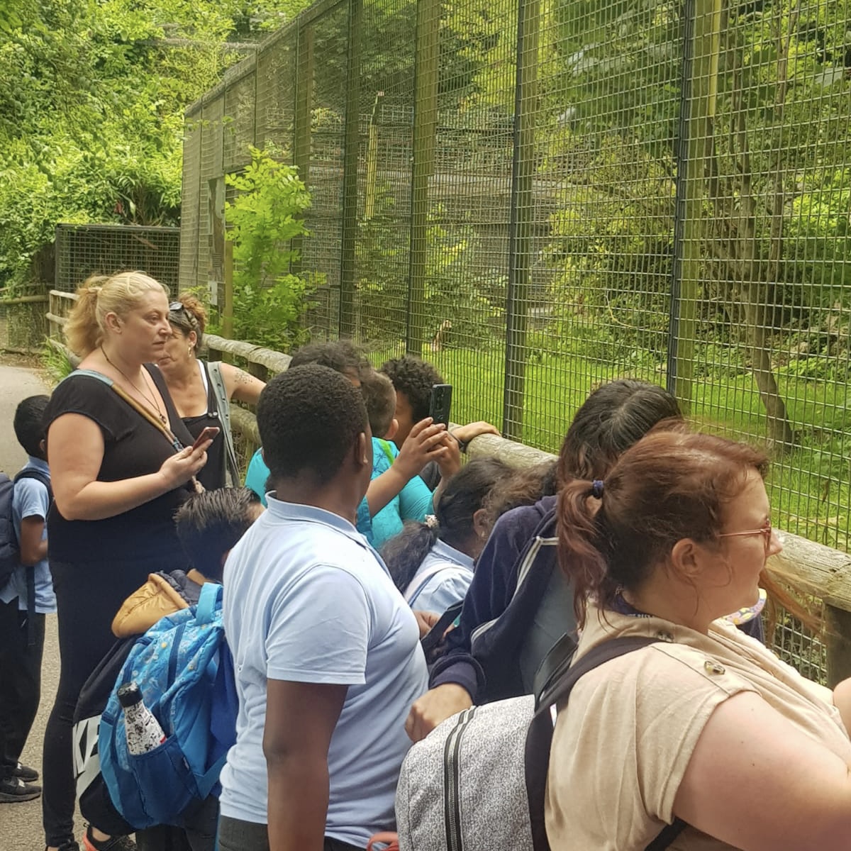 Marvels Lane Primary School tweet media