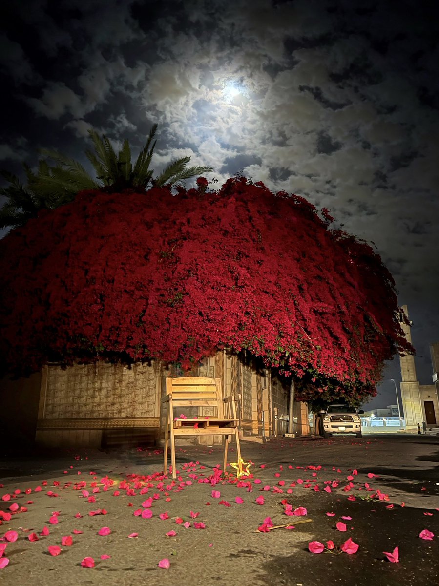 شارك بأفضل صوره صورتها لسنة ١٤٤٤ هـ ؟