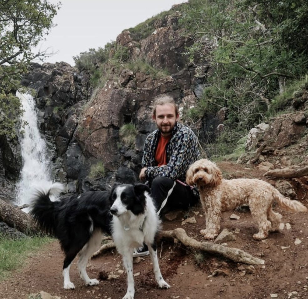 Kim Winters tweet media