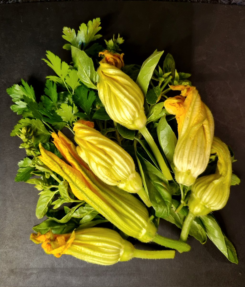 One of my favourite things to eat. What about you? How do you eat it?#allotment #produce #courgette #delicious #foodtreat