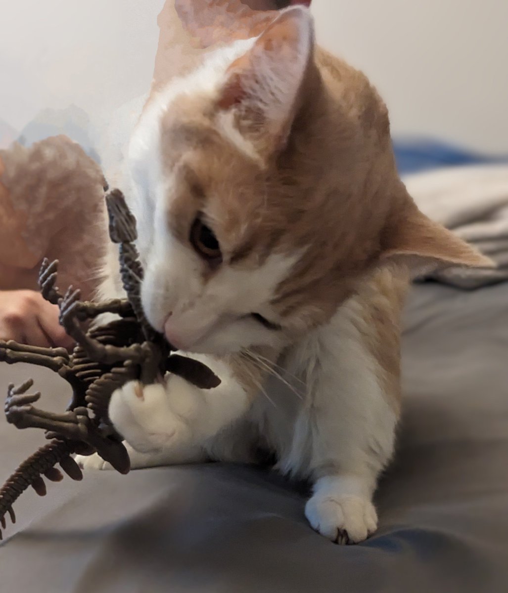 LucyBlogsStuff's tweet photo. @seananmcguire Leo took down an ancestral enemy today. https://t.co/madjqGIJQ9