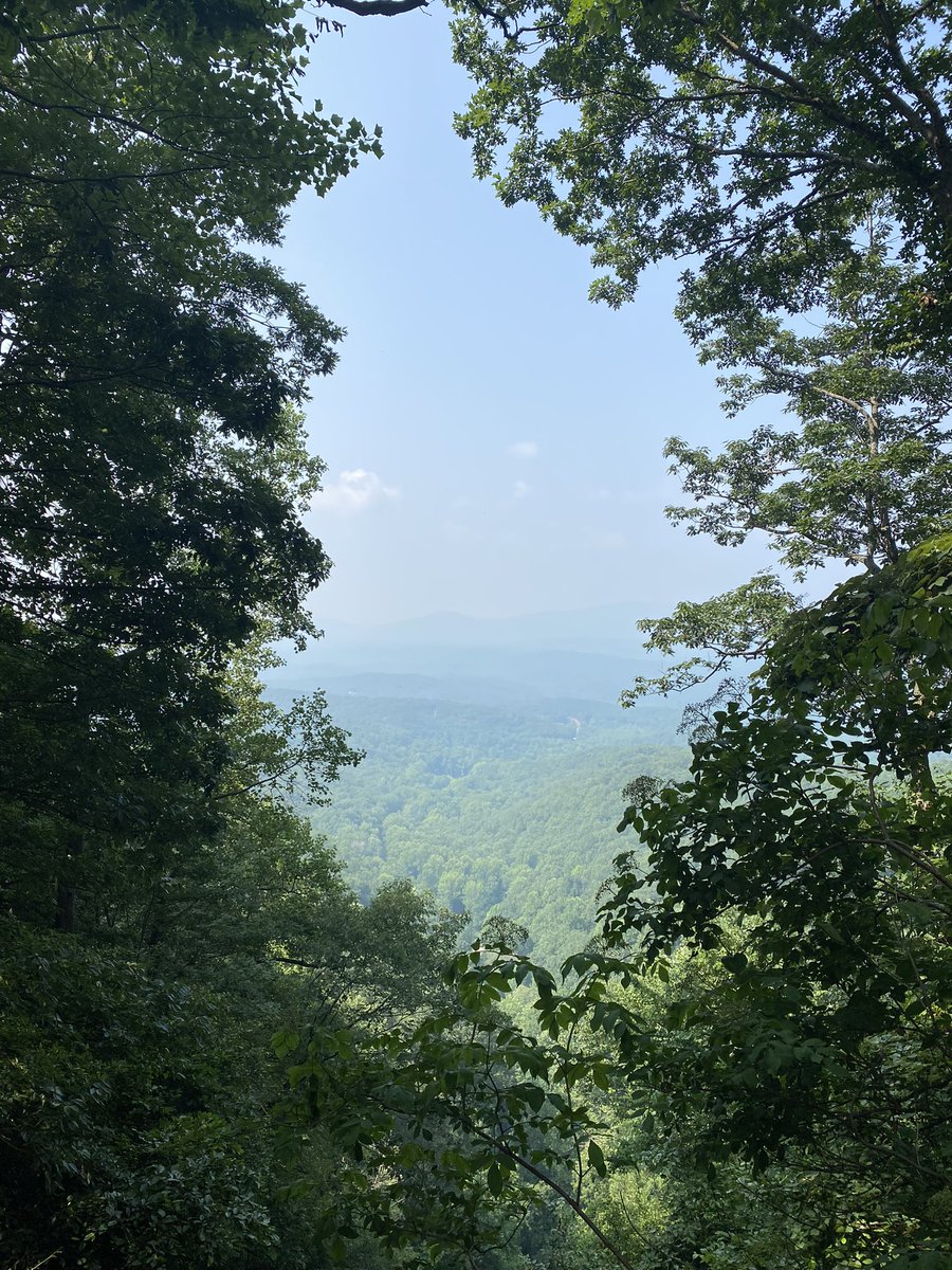 Eric Reiter tweet media