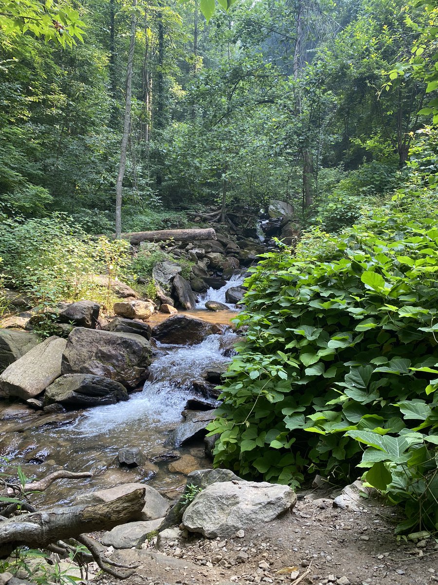 Eric Reiter tweet media