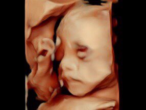 Troc$Paris tweet media