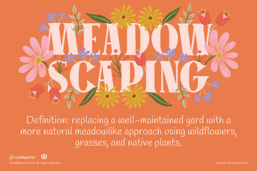 MyNorCalRE's tweet photo. This is not a made-up term! Meadowscaping is the newest landscaping trend. It's big on native plants and promotes biodiversity while reducing maintenance and watering. All the bees are buzzing for it. Will you try it? https://t.co/cChZ8VYpF7