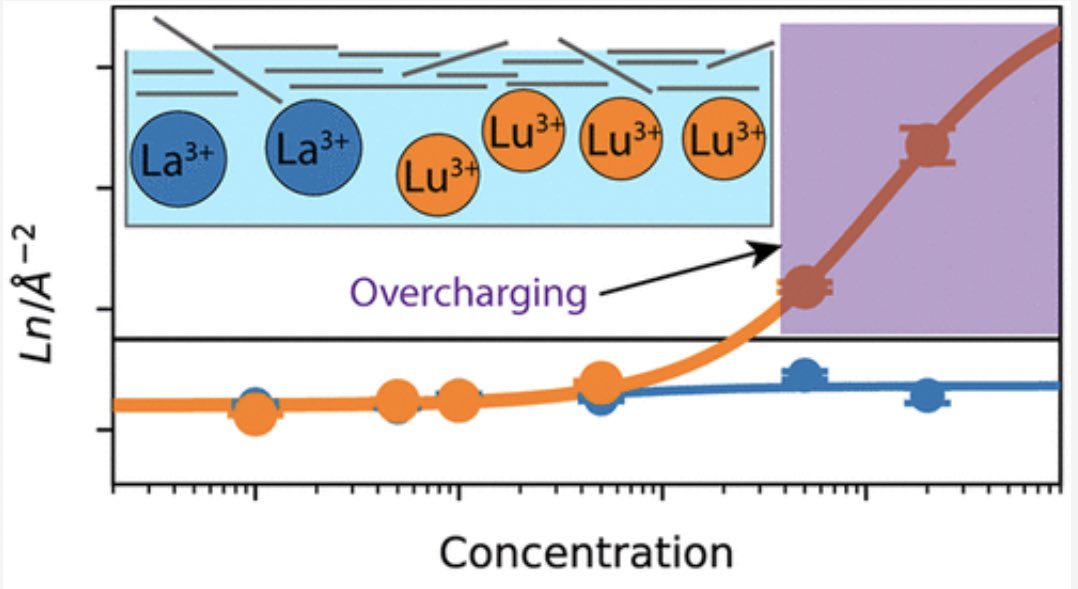 Heavy vs. Light Lanthanide Selectivity is Concentration-Dependent. Our paper is now online! 
Great work by <a href="/amandajcarrphd/">Amanda J. Carr, PhD</a> and Seung Eun Lee. Thanks <a href="/JPhysChem/">The Journal of Physical Chemistry</a> C for the invitation to “Early-Career and Emerging Researchers” special issue. 
pubs.acs.org/doi/10.1021/ac…