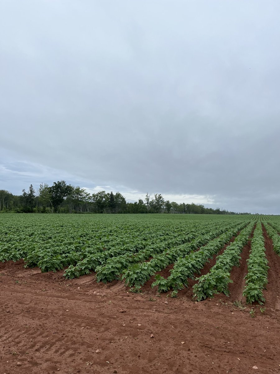 Our first tour at Picturesque Farms in Brae PEI, home to OYF Alumni Justin &amp; Laura Rogers &amp; their children Luke &amp; Mary. The pride they take in their farm is the first thing you notice. #seventhgeneration #oyffamily