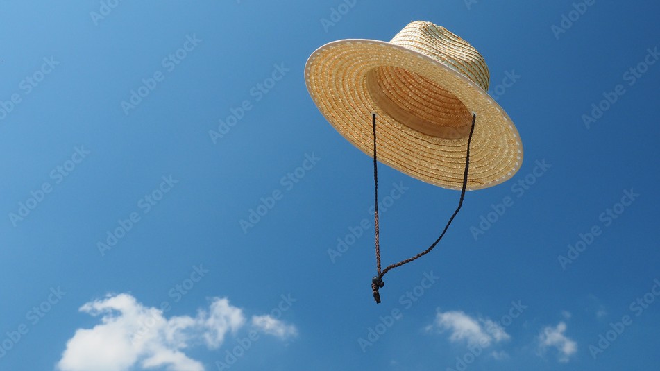 ã³ãŠã¹ã±ð±ðž (@kousukesohere) on Twitter photo ãã®ææã«ãªããšãè¡ã®ãã¡ãã¡ã§ããªãŒãŽãŒã«ããããèŠãããŸããðµïž
çºããŠãããšæ°æã¡ããã³ããªãšããŠå¯æãè±ã§ãðµïž
é
·æã®æããªããªãå€ã«åºãŠæ¥œããäœè£ããããŸããããããããæããæ¢
éšã®åŸãç¥ãè±ç«ã§å€ãæºå«ããããã®ã§ãðµïž
ããªãŒãŽãŒã«ã(ããã¿ãã)
youtu.be/0xSiBpUdW4E ãã®ææã«ãªããšãè¡ã®ãã¡ãã¡ã§ããªãŒãŽãŒã«ããããèŠãããŸããðµïž
çºããŠãããšæ°æã¡ããã³ããªãšããŠå¯æãè±ã§ãðµïž
é
·æã®æããªããªãå€ã«åºãŠæ¥œããäœè£ããããŸããããããããæããæ¢
éšã®åŸãç¥ãè±ç«ã§å€ãæºå«ããããã®ã§ãðµïž
ããªãŒãŽãŒã«ã(ããã¿ãã)
youtu.be/0xSiBpUdW4E