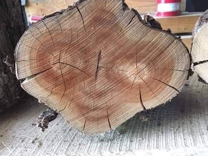 I'll be right here Elllllllllliot  👉🏻 👈🏻 🛸 #ET #Phonehome