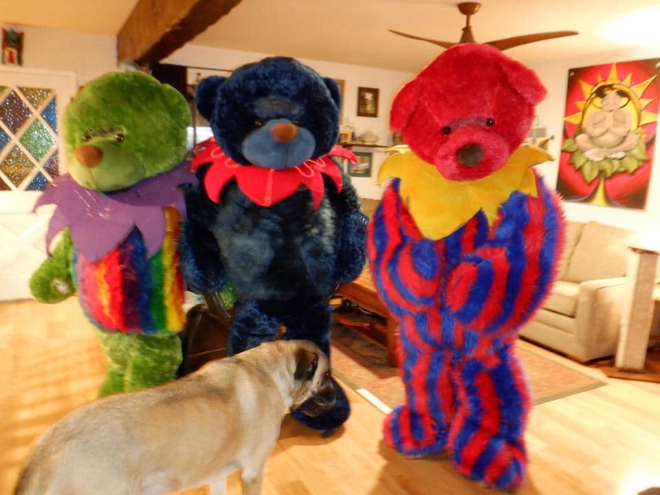 ahnfeltiopsis's tweet image. Hello my deadhead family!  If anyone got pics of us dressed in our Jerry Bear suits on Sunday @ Oracle, can you post /tag me?   We were so busy enjoying all the love &amp;amp; selfies, we didn't get any pics ourselves! 😜🩷  #DeadandCompany #jerrybears #DeadandCoFinalTour #deadheads