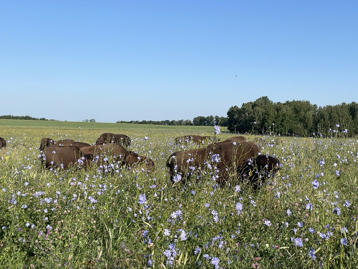 Avery Shepherd tweet media