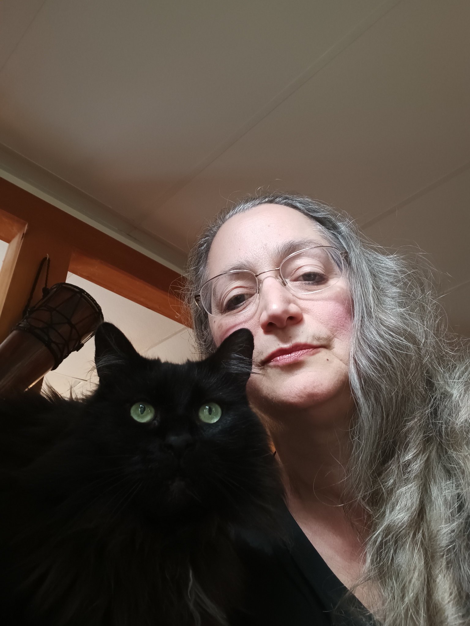 deborahblake-on-twitter-just-spent-over-500-at-the-vet-on-this-guy