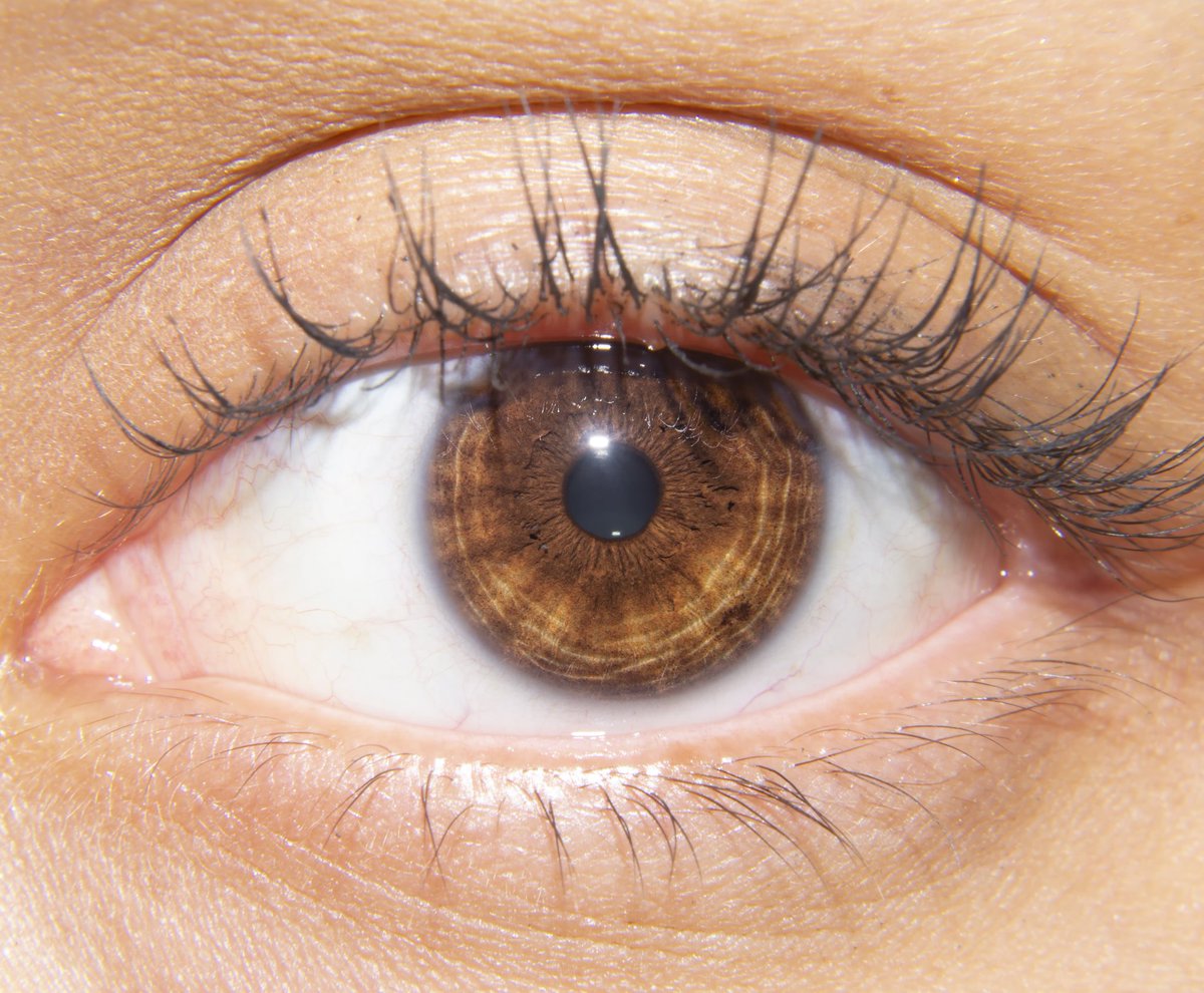 KartmanRock's tweet photo. COLECCIΓN DE OJOS
#macrophotography #macrophoto #macroeye #macroeyes #ojos #photography #photo_eye #photo_eyes #iris #pupila #pupilas #mirada #miradademujer #miradaperfecta #retina #fotodeojos https://t.co/DpCylx3lPm