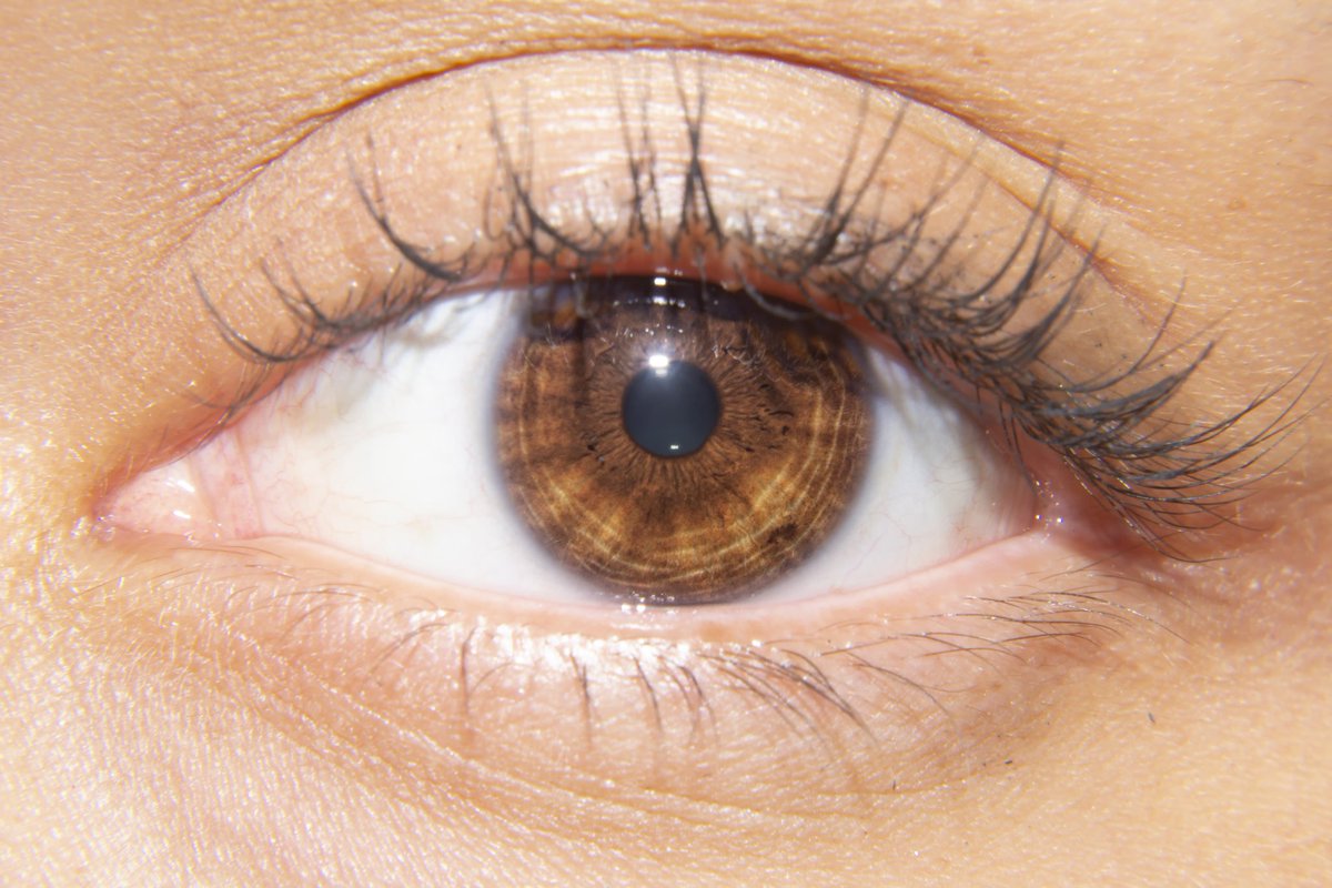 KartmanRock's tweet photo. COLECCIΓN DE OJOS
#macrophotography #macrophoto #macroeye #macroeyes #ojos #photography #photo_eye #photo_eyes #iris #pupila #pupilas #mirada #miradademujer #miradaperfecta #retina #fotodeojos https://t.co/DpCylx3lPm