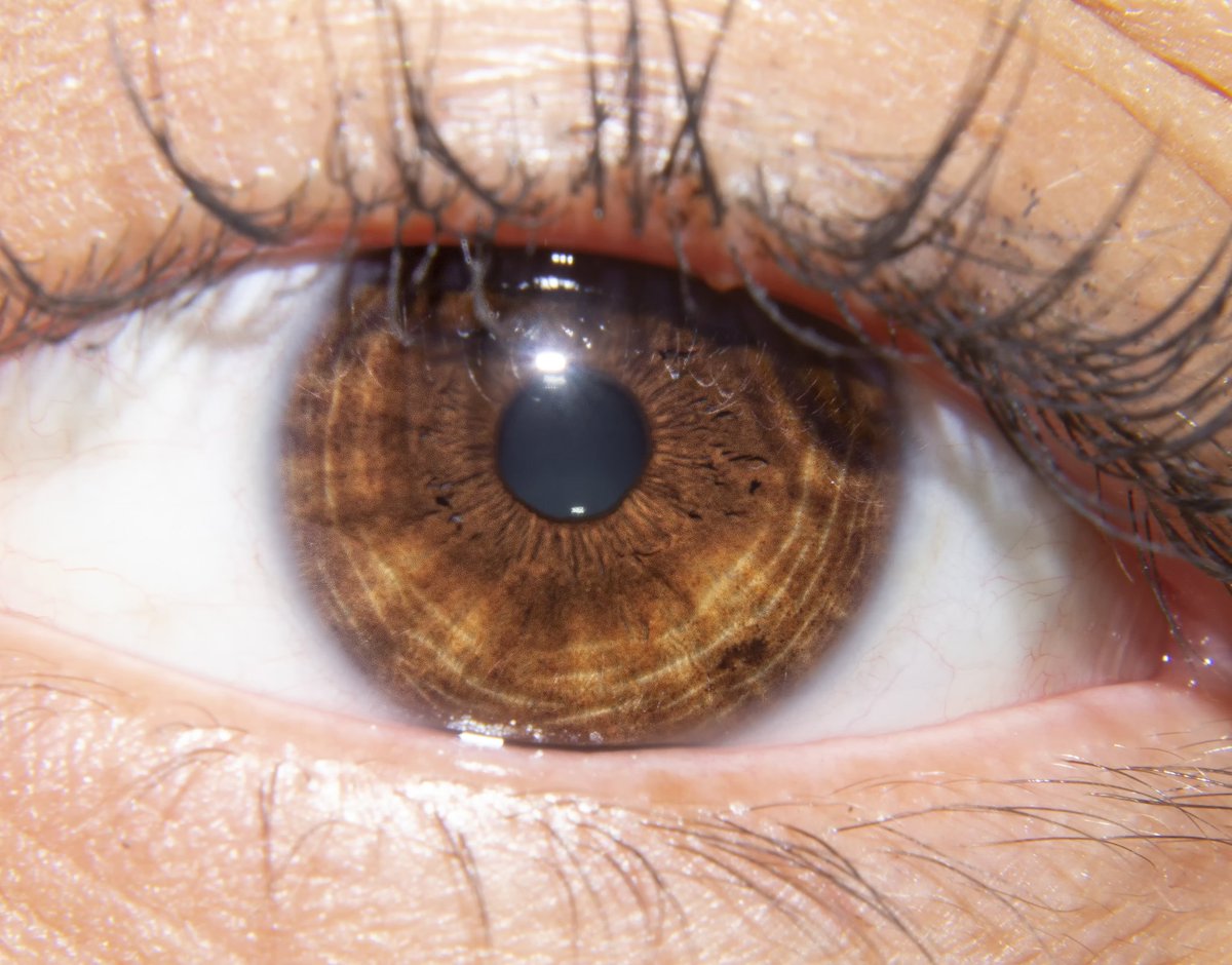 KartmanRock's tweet photo. COLECCIΓN DE OJOS
#macrophotography #macrophoto #macroeye #macroeyes #ojos #photography #photo_eye #photo_eyes #iris #pupila #pupilas #mirada #miradademujer #miradaperfecta #retina #fotodeojos https://t.co/DpCylx3lPm