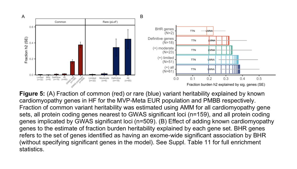 Common- and rare-variant genetic architecture of heart failure across the allele frequency spectrum medrxiv.org/content/10.110…
