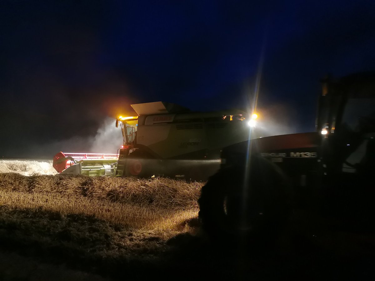 A_Beauc's tweet image. #moisson2023 lancée, c&apos;est parti jusqu&apos;au bout de la nuit ?!
Pépère est de sortie pour se decalaminer un peu 😅

On va profiter de la fraîcheur de la nuit des paysages, on est bien !
@Fragritwittos
#FrAgTw
#fragmoisson2023
#ceuxquivousnourrissent
@chambagri_hdf 
@hautsdefrance