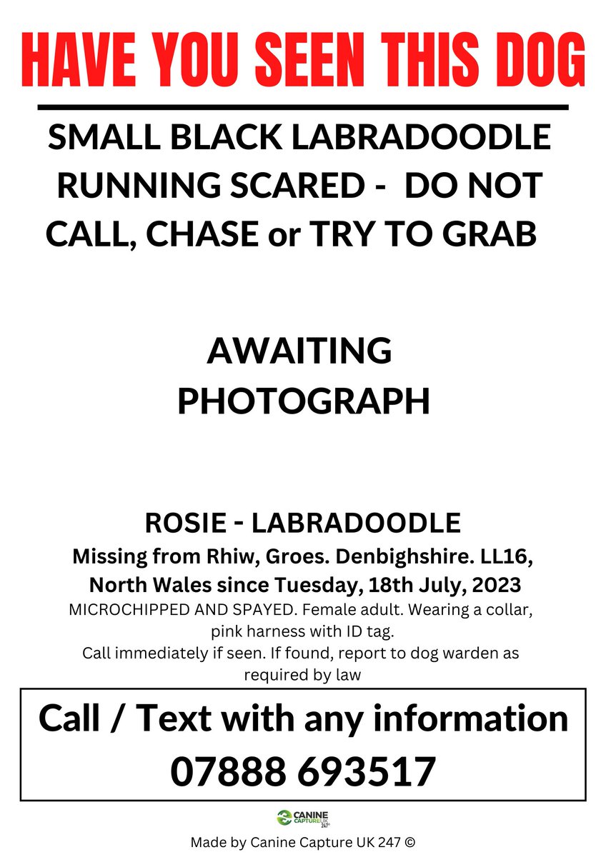 SIGHTINGS ONLY - MISSING IN AN UNFAMILIAR AREA - DO NOT CALL, CHASE, GRAB OR ATTEMPT TO CATCH #ROSIE IS #MISSING FROM #RHIW, #GROES, #LL16 AREA, #DENBIGHSHIRE, #NORTHWALES SINCE TUESDAY, 18th JULY, 2023 facebook.com/groups/6863458…