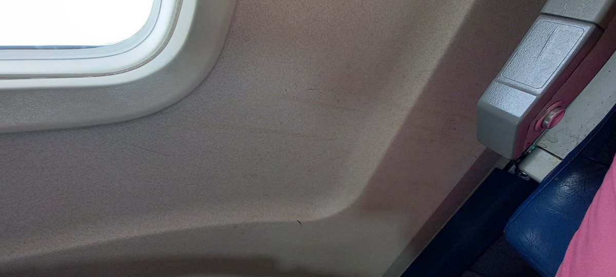 Gael Francis tweet media