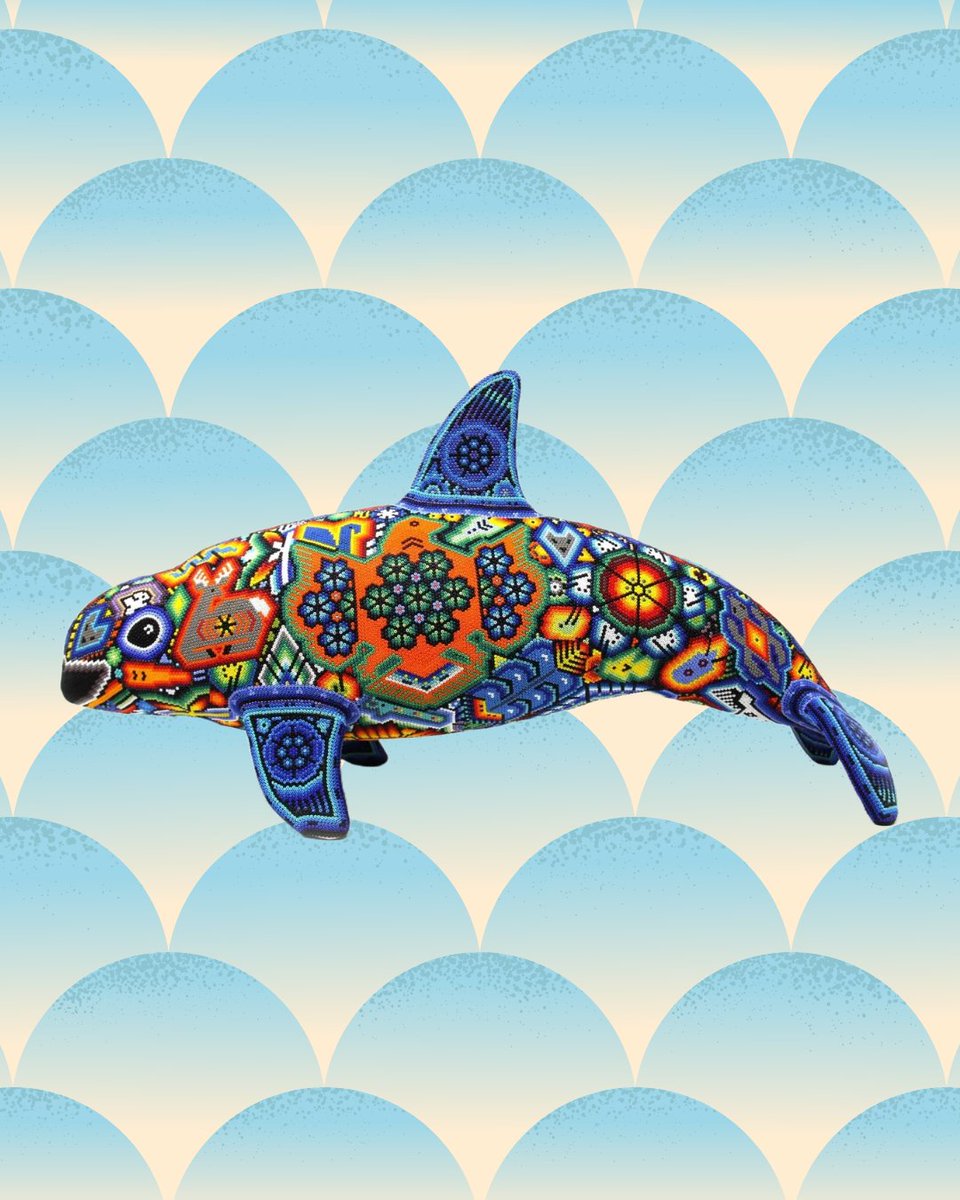 MexCultureDC's tweet photo. July 18 is International #VaquitaDay, a date that raises awareness of the urgent need to protect and guarantee survival of this endemic species to Mexico’s Gulf of California in #BajaCalifornia, Mexico.
Currently, the Government of Mexico has strengthened its efforts to protect the vaquita's habitat from the threats posed by illegal fishing activity and has worked with associations like @SeaShepherdSSCS to implement the Operation Milagro. Learn more: https://t.co/akNLngKkap
📷: Vaquita Wixárika Art by Marakame ©