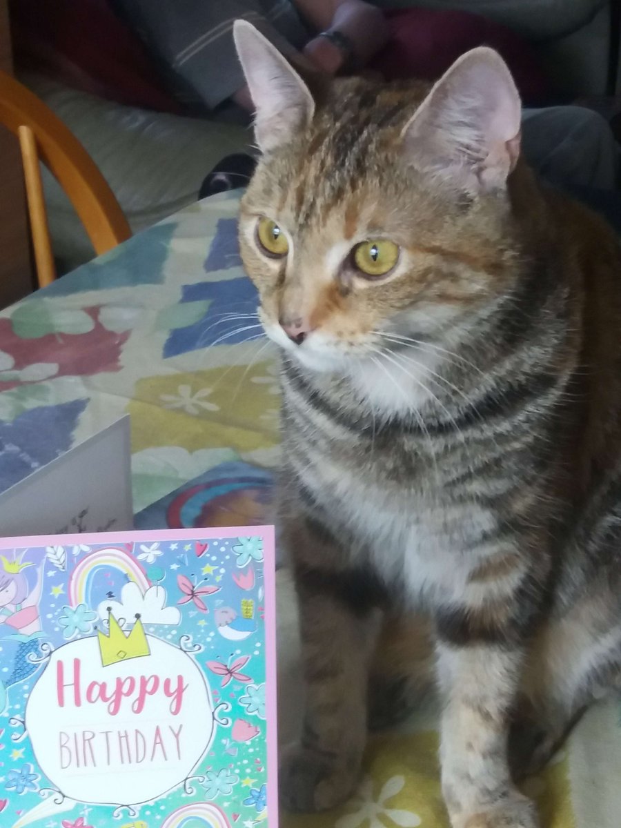 ★TwinklePhoenix★ tweet media