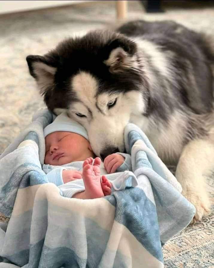 CuoreIschitano's tweet photo. La foto più bella di oggi ❤ https://t.co/JHcAvq78hM