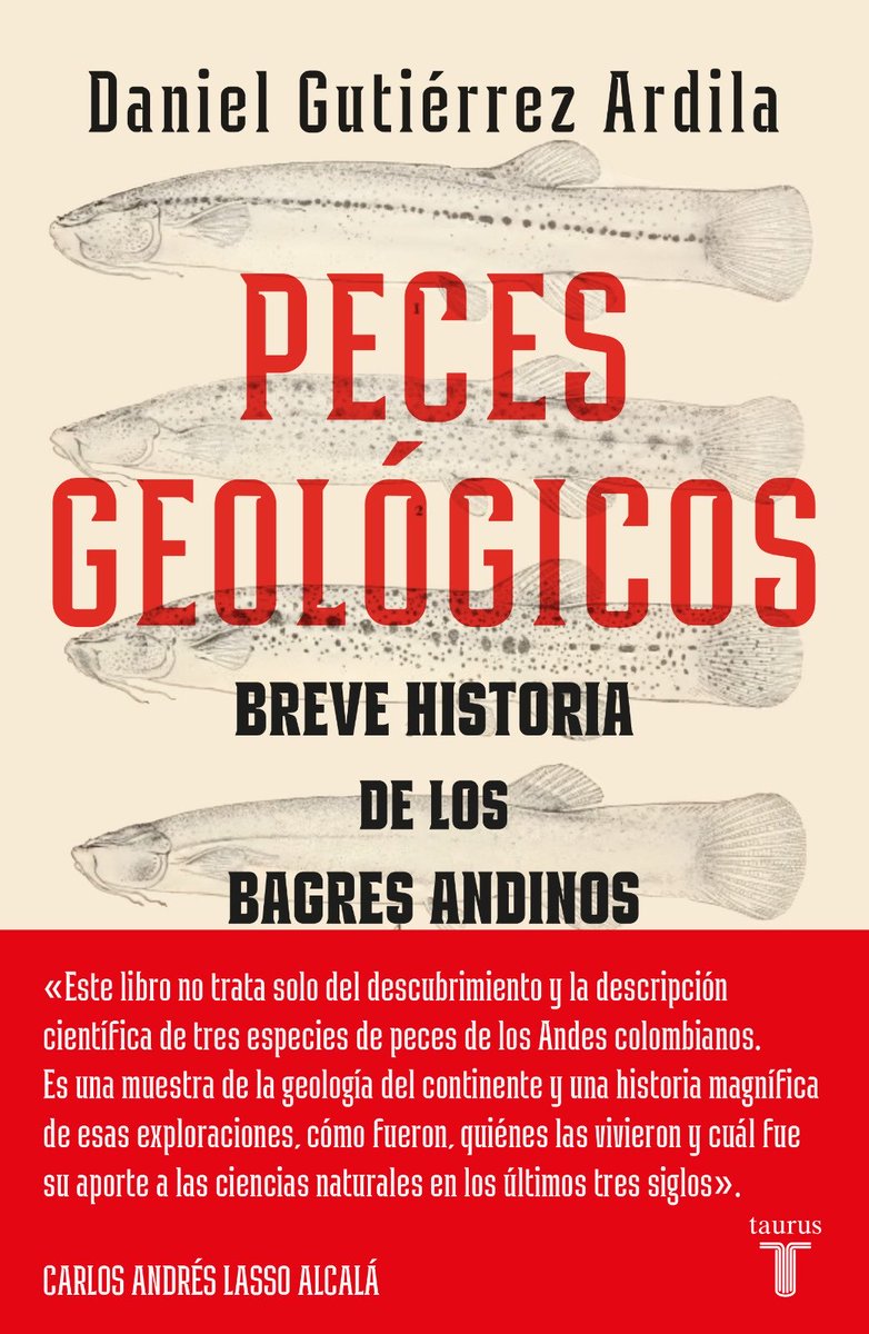 Carlos Lasso (@classoalcala) on Twitter photo Más que tres especies de peces andinos colombianos, es una lección geologica, geografica, expedicionaria y por qué no, de la política colombiana de los últimos tres siglos. Felicitaciones Daniel<a href="/randomhouse/">Random House Group</a> <a href="/UExternado/">U.Externado</a> <a href="/inst_humboldt/">Instituto Humboldt</a> Más que tres especies de peces andinos colombianos, es una lección geologica, geografica, expedicionaria y por qué no, de la política colombiana de los últimos tres siglos. Felicitaciones Daniel<a href="/randomhouse/">Random House Group</a> <a href="/UExternado/">U.Externado</a> <a href="/inst_humboldt/">Instituto Humboldt</a>