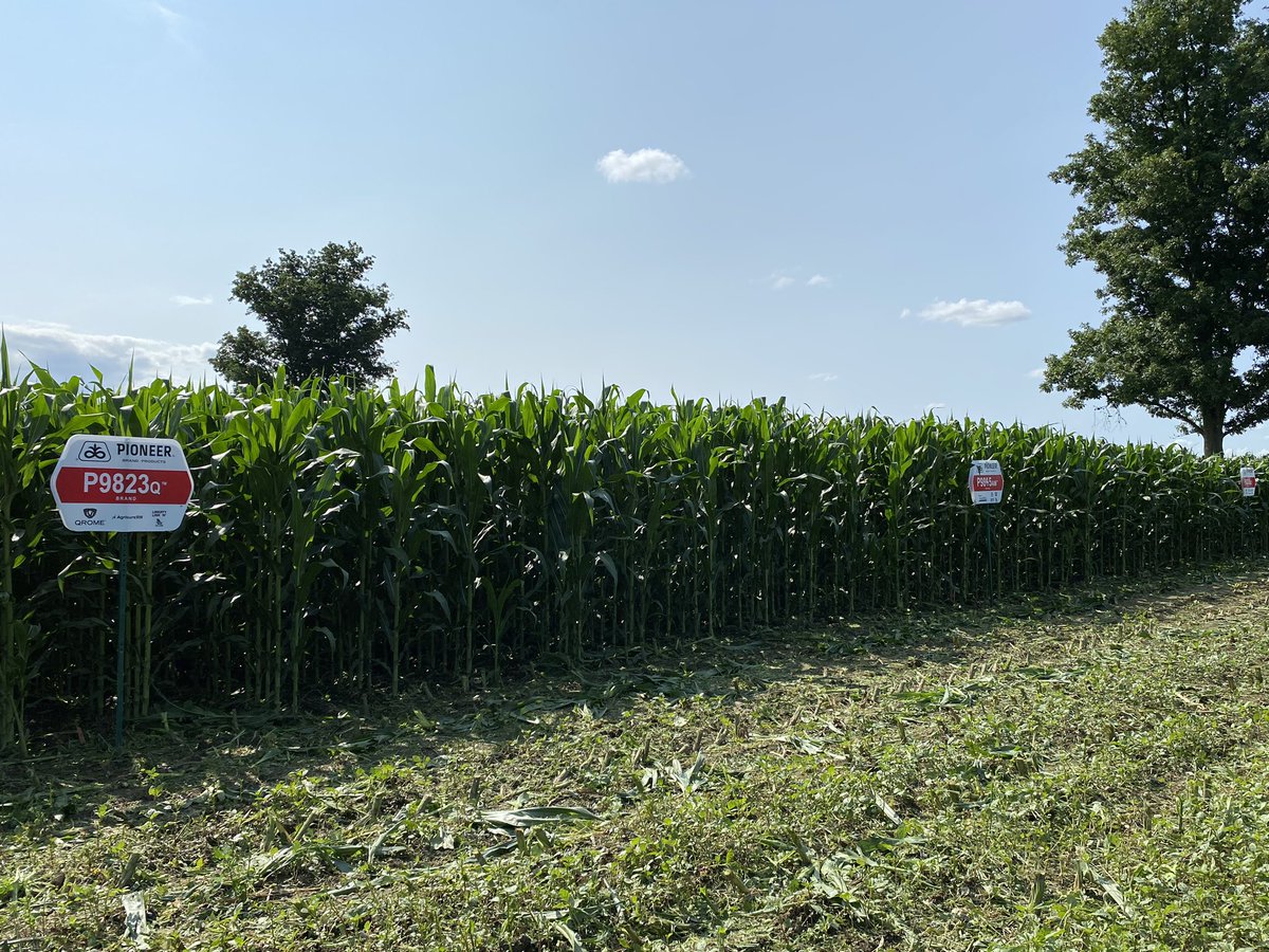 From a field sign to a whole plot signed. Man I feel like I’m evolving as a rep. 😂 <a href="/PioneerSeedsCA/">Pioneer Seeds Canada</a>