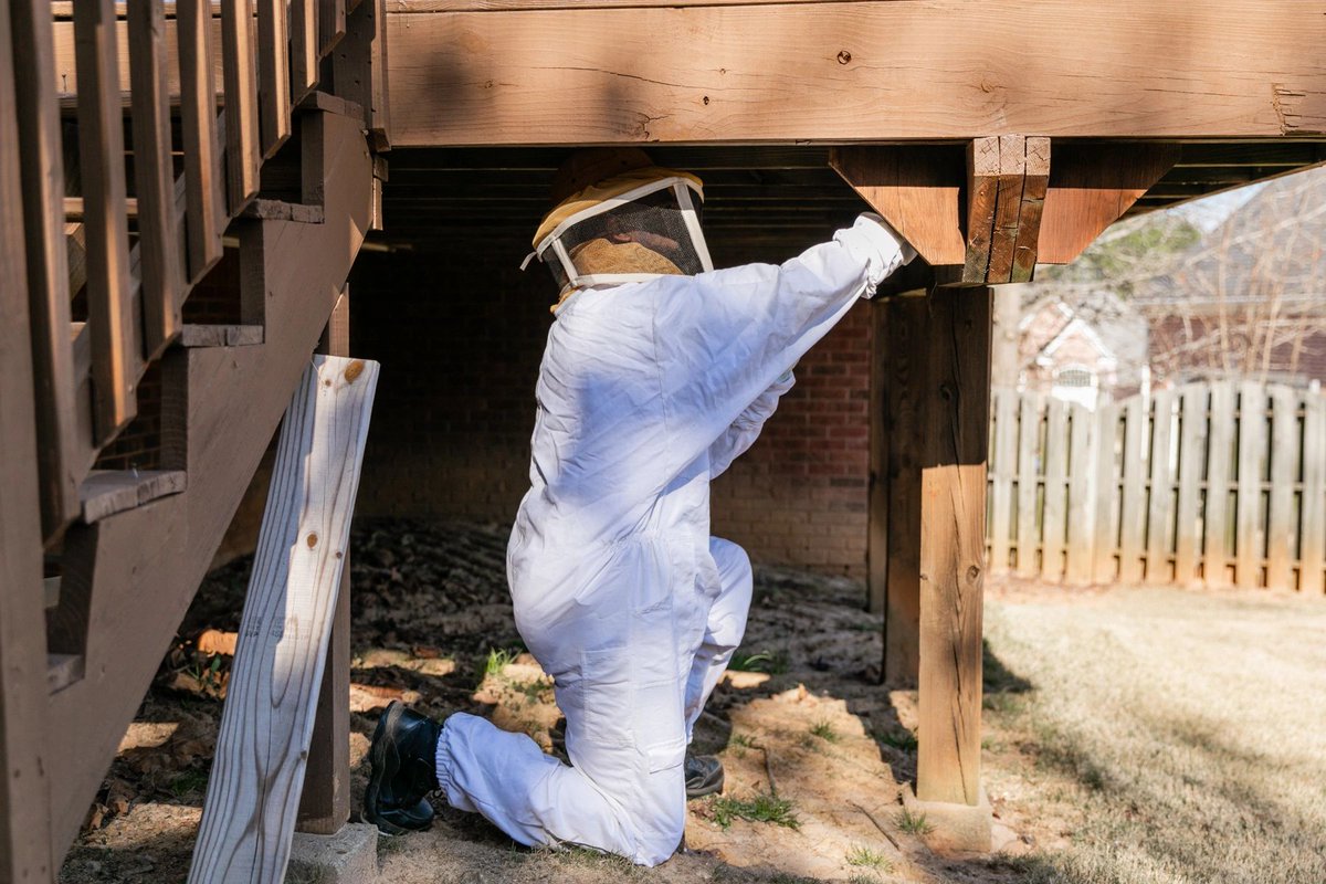 Warning: Our team is skilled in the art of pest warfare! ⚔️🐀 #BattleWithBugs #LastCallPestServices #PestServices #TuckerGA #TuckerGAPestControl #TuckerGAPestServices