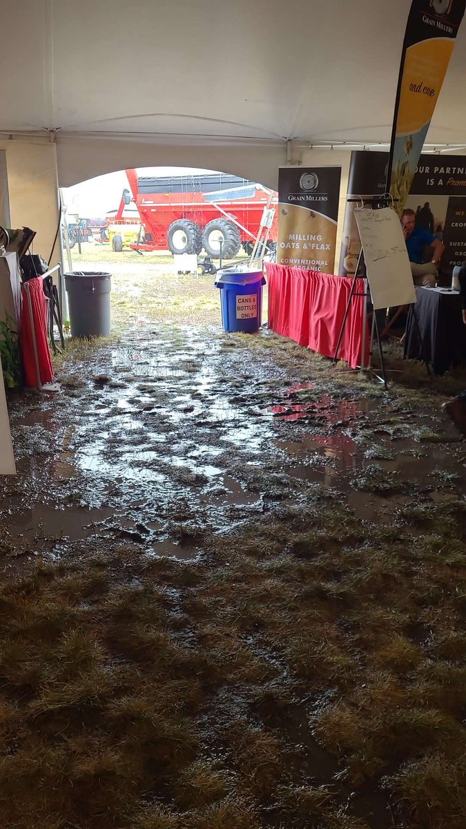 Rayglen_NOW's tweet image. I guess it can rain! #aginmotion2023