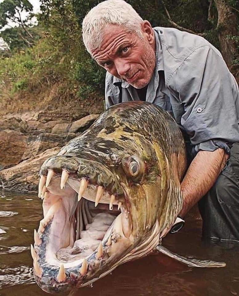 ShortnBluntTho's tweet photo. This is the most dangerous species on earth. They over consume &amp; are mercilessly destroying their surroundings. When they are done with their destruction, they spread to other areas &amp; start consuming again without limits. The other one is a fish who is being harmed for fun. https://t.co/EHJvkEgHll
