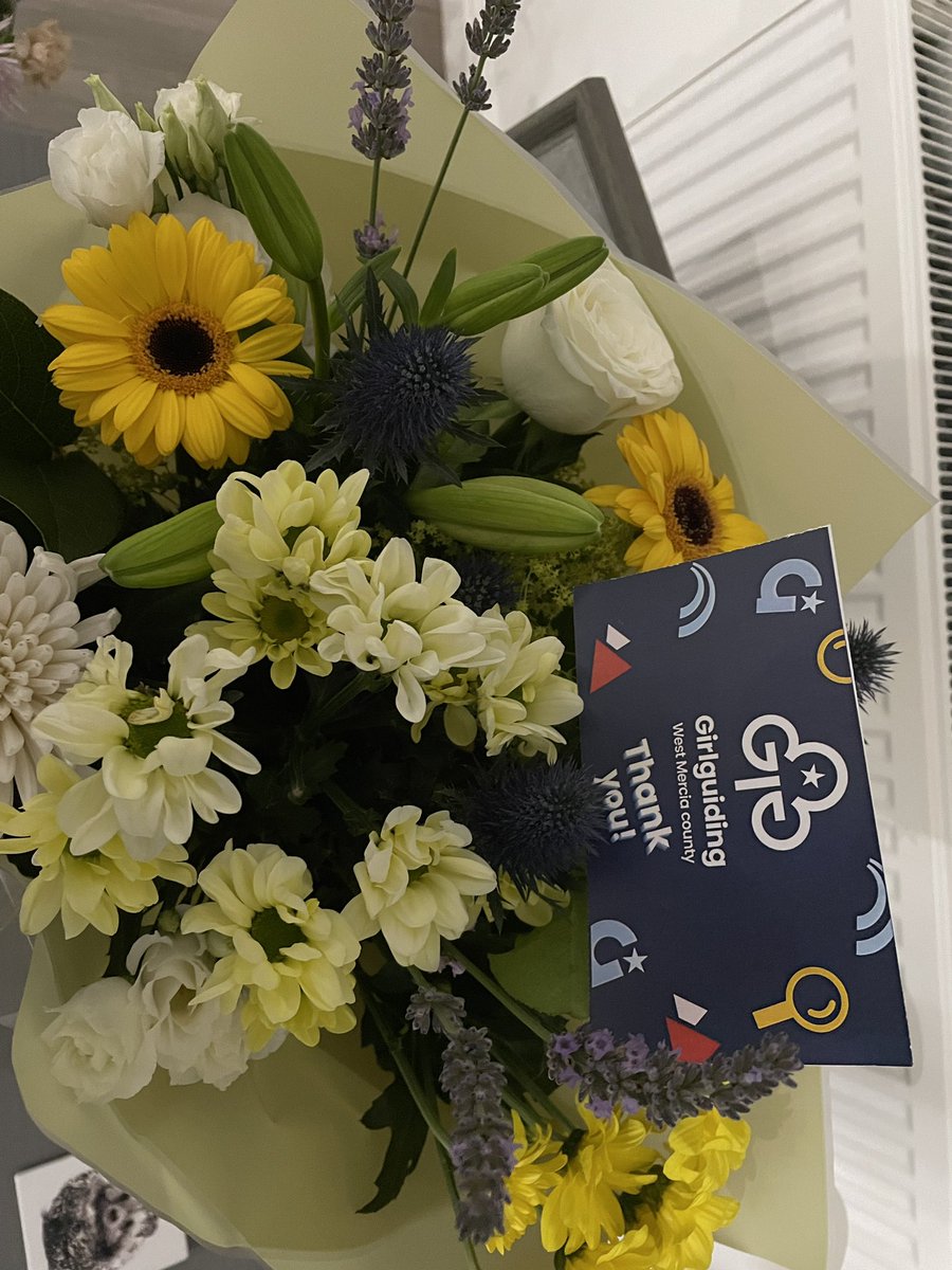Awards and recognition night <a href="/GirlguidingWM/">Girlguiding W.Mercia</a> congratulations to all the amazing award recipients and thank you for all your service #volunteers #ThankYou <a href="/GirlguidingMids/">Girlguiding Midlands</a> 🎉👏