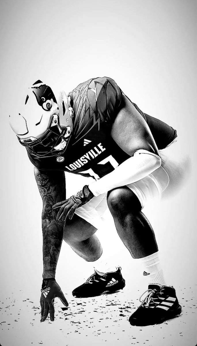 🦍 tweet media