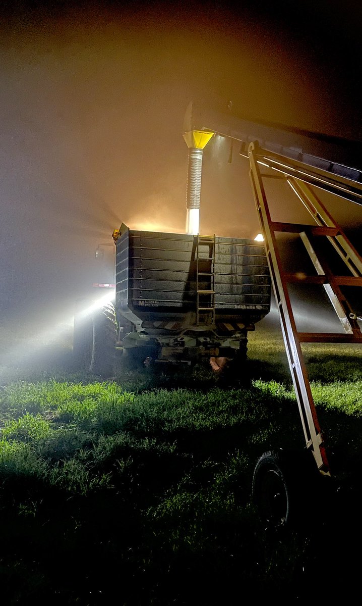 Nick Pearce tweet media